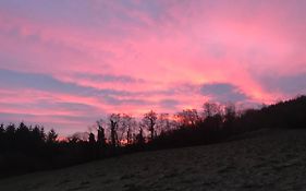 Forest View - Castlewellan, County Down